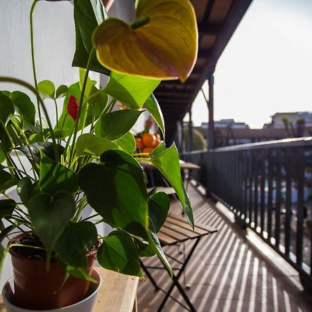 Apartmán Corral Del Conde Sevilla Exteriér fotografie